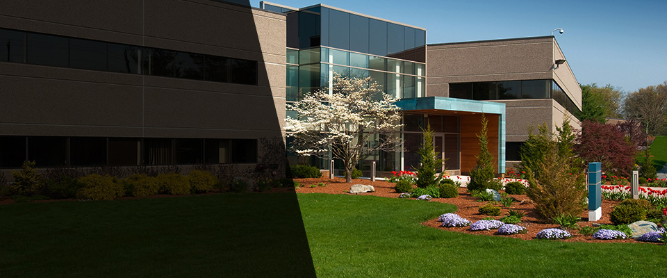 Lynnwood Landscapers