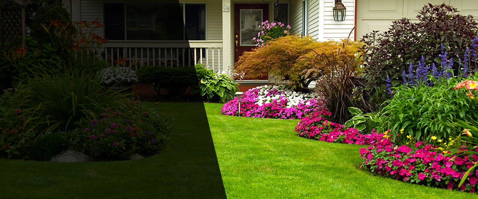 Lynnwood Landscapers