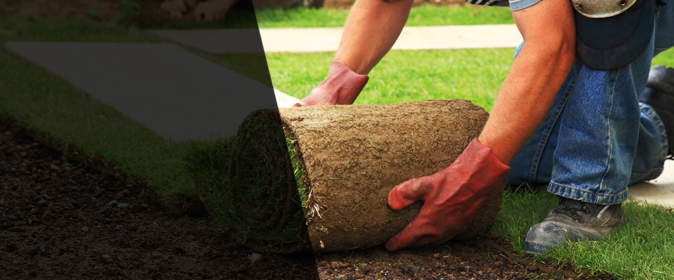 Lynnwood Landscapers